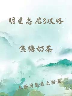 明星志愿3攻略