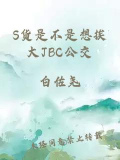 S货是不是想挨大JBC公交