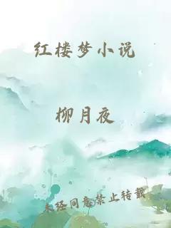 红楼梦小说