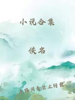 小说合集