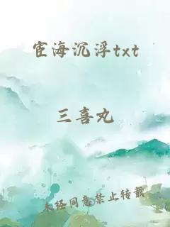 宦海沉浮txt