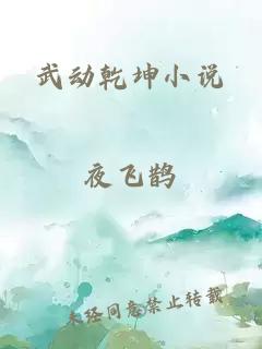 武动乾坤小说