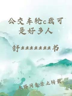 公交车轮c我可是好多人