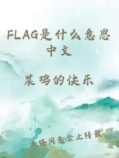 FLAG是什么意思中文