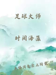 黑人和沈莹全文阅读