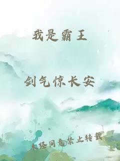 我是霸王