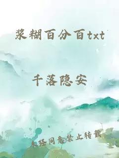 浆糊百分百txt