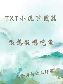 TXT小说下载器