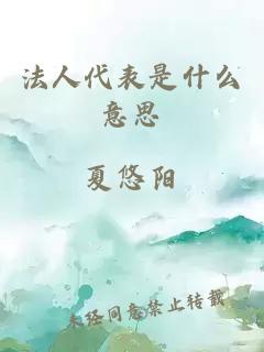 法人代表是什么意思