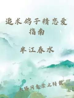 追求鸽子精恋爱指南