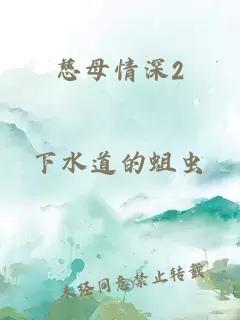 慈母情深2