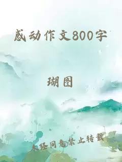 感动作文800字