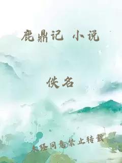 鹿鼎记 小说