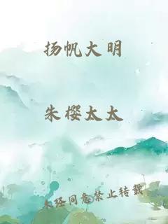 扬帆大明