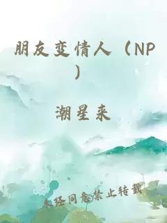 朋友变情人（NP）