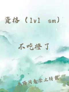 资格（1v1 sm）