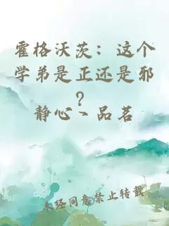 霍格沃茨：这个学弟是正还是邪？