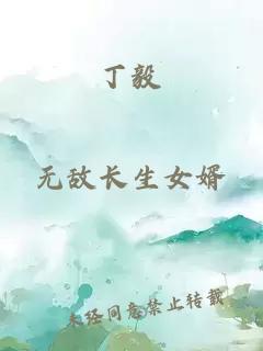 丁毅